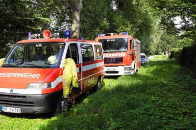 Nuertingen-Neckarhausen: Radfahrer von herabstuerzendem Ast getroffen